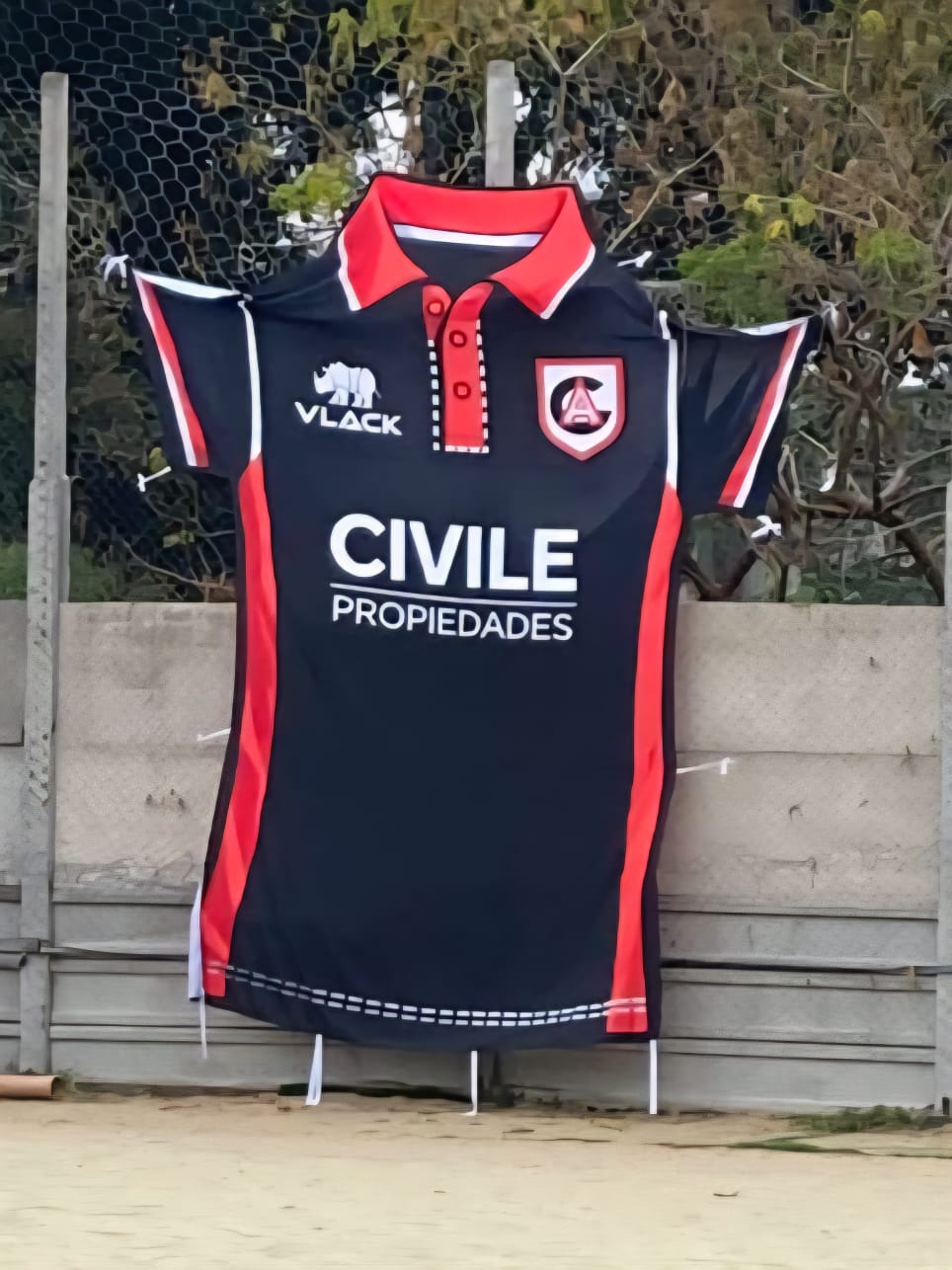 Camiseta y Escudo 12
