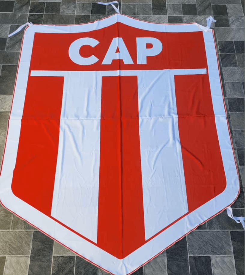 Camiseta y Escudo 3